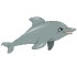 Jeux de dauphins 