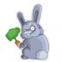 Jeux de lapin 